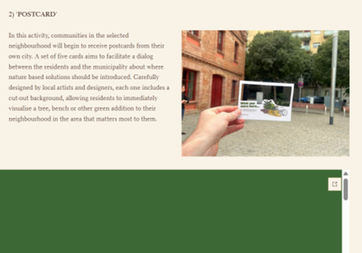  (copy 3)